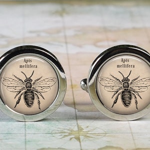 Honeybee cufflinks, Apis Mellifera honey bee cuff links wedding or anniversary gift for groom, gift for entomologist insect cufflinks