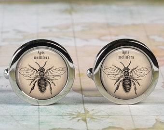 Honeybee cufflinks, Apis Mellifera honey bee cuff links wedding or anniversary gift for groom, gift for entomologist insect cufflinks