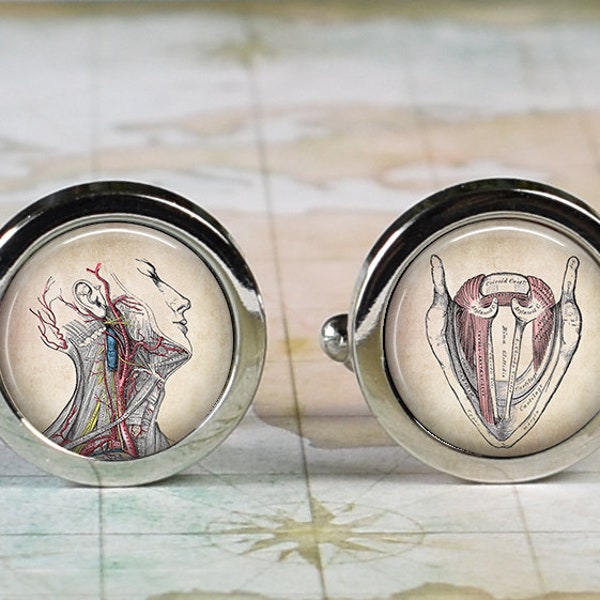 ENT cufflinks, antique anatomical illustration cuff links for ear nose and throat doctor medical student graduation gift laryngologist