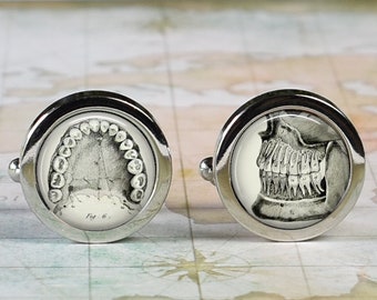 Antique Dental Morphology cufflinks, dentist cufflinks gift for dentist or dental hygienist dental assistant dental student gift tooth teeth