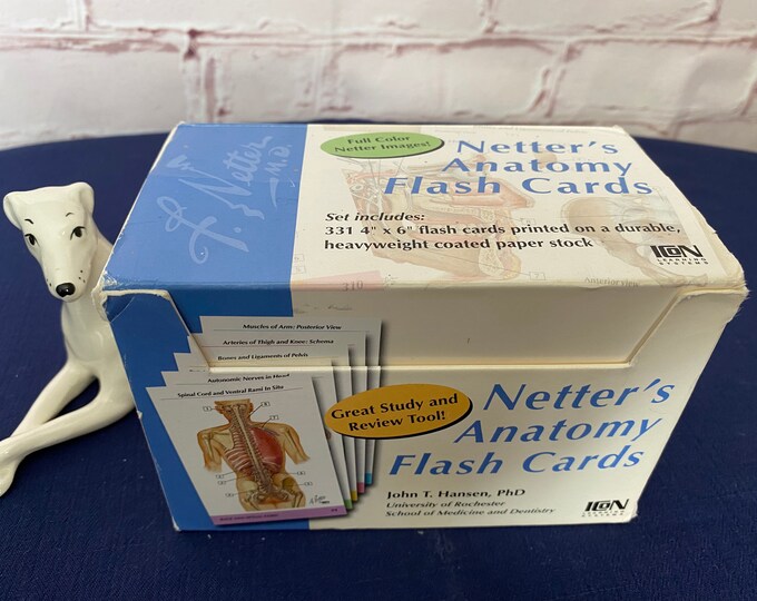 NETTER'S ANATOMY FLASH Cards 4x6 Flash Cards Etsy