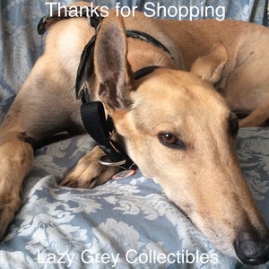 May include: A tan and white Greyhound dog with a black collar and a camouflage harness is lying on a blue and white patterned couch. The dog is looking at the camera with its head resting on the couch. The text "Thanks for Shopping" is above the dog and the text "Lazy Grey Collectibles" is below the dog.