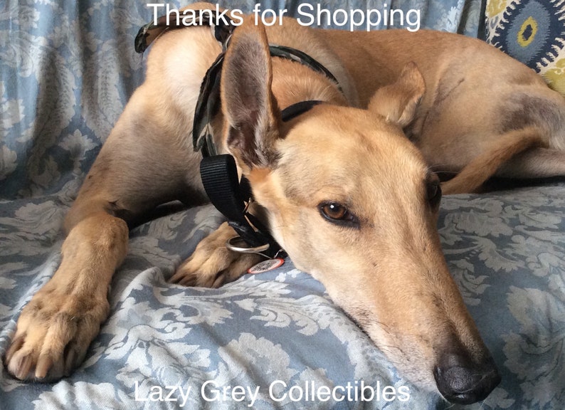 May include: A tan and white Greyhound dog with a black collar and a camouflage harness is lying on a blue and white patterned couch. The dog is looking at the camera with its head resting on the couch. The text "Thanks for Shopping" is above the dog and the text "Lazy Grey Collectibles" is below the dog.