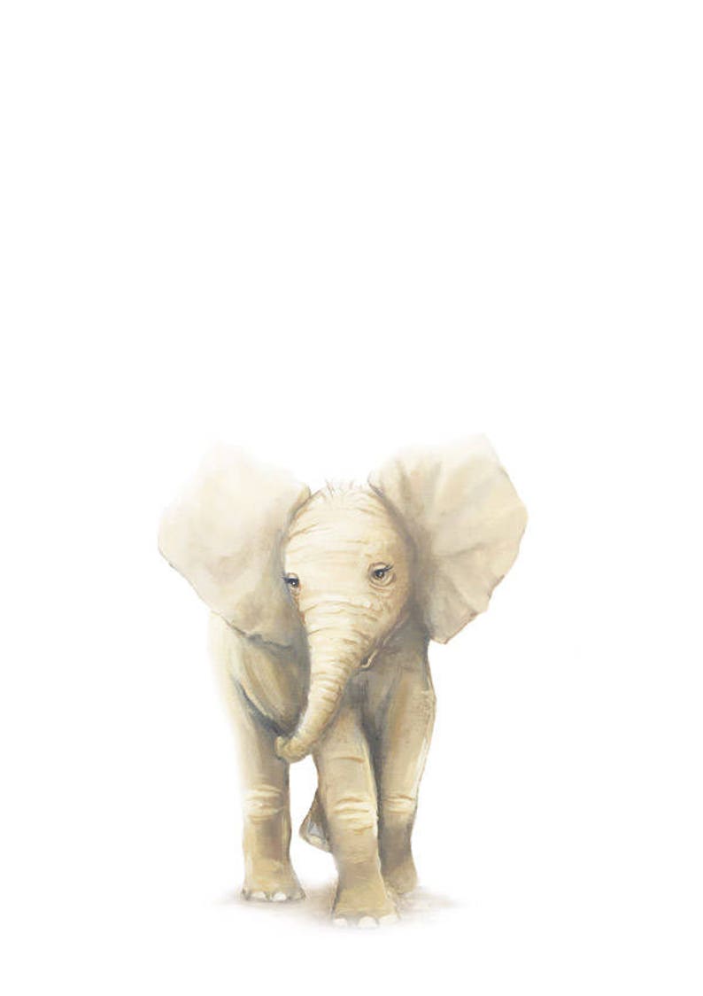 Nursery art prints elephant art nursery decor elephant Etsy