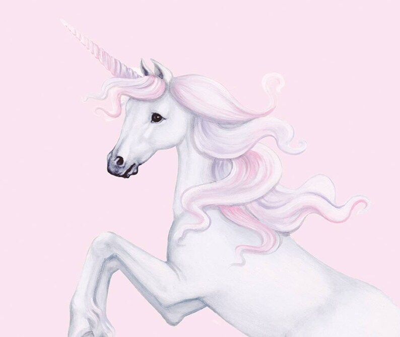 Unicorn Wall Decal Unicorn Decals Unicorn Wall Stickers Etsy