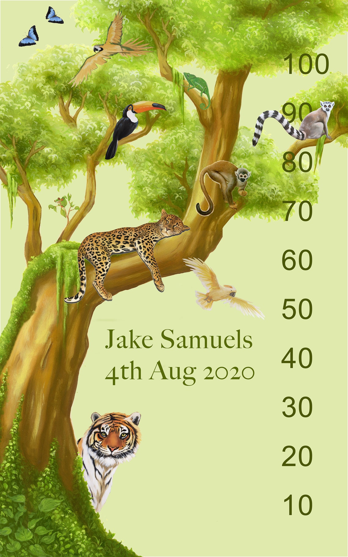 Height Chart Wall Height Chart Jungle Height Chart Childs Etsy UK