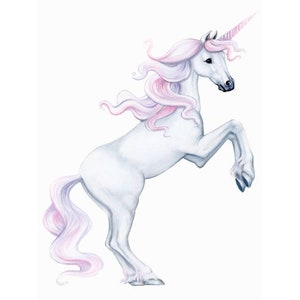 Unicorn Wall decal, unicorn decals, unicorn wall stickers, unicorn wall decals, unicorns, unicorn decor, unicorn decal, unicorn mural