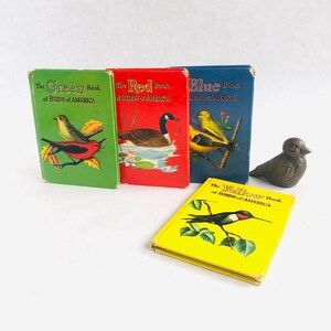 Vintage bird books, MCM bird books, Yellow Red Green Blue Book of Birds of America, midcentury bird guide, nature lover, vintage kids room