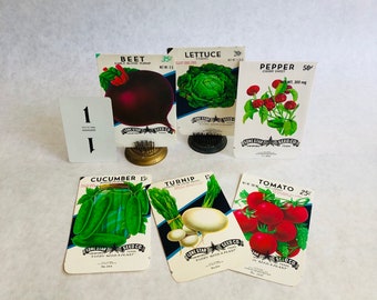 Vintage Lone Star Seed Packet Collection, NOS Empty Envelopes, Set of 6