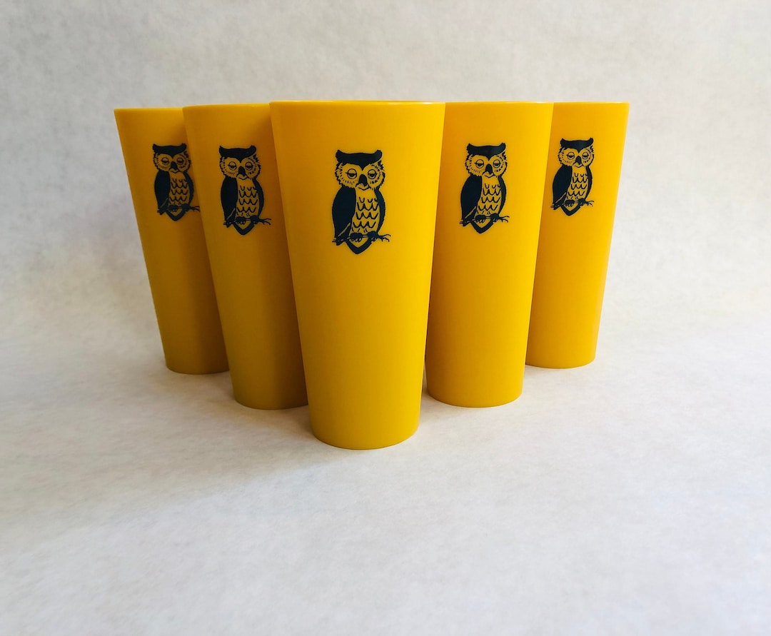 Vintage Nasco Owl Cups, Vintage Plastic Owl Cups, Vintage Owl Glasses
