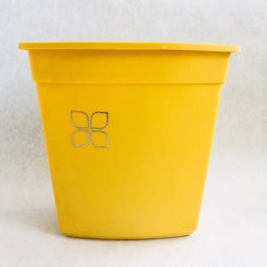 Vintage small yellow trash can, vintage trash can, yellow bathroom, yellow bedroom, MCM trash can, small midcentury trash can, organize