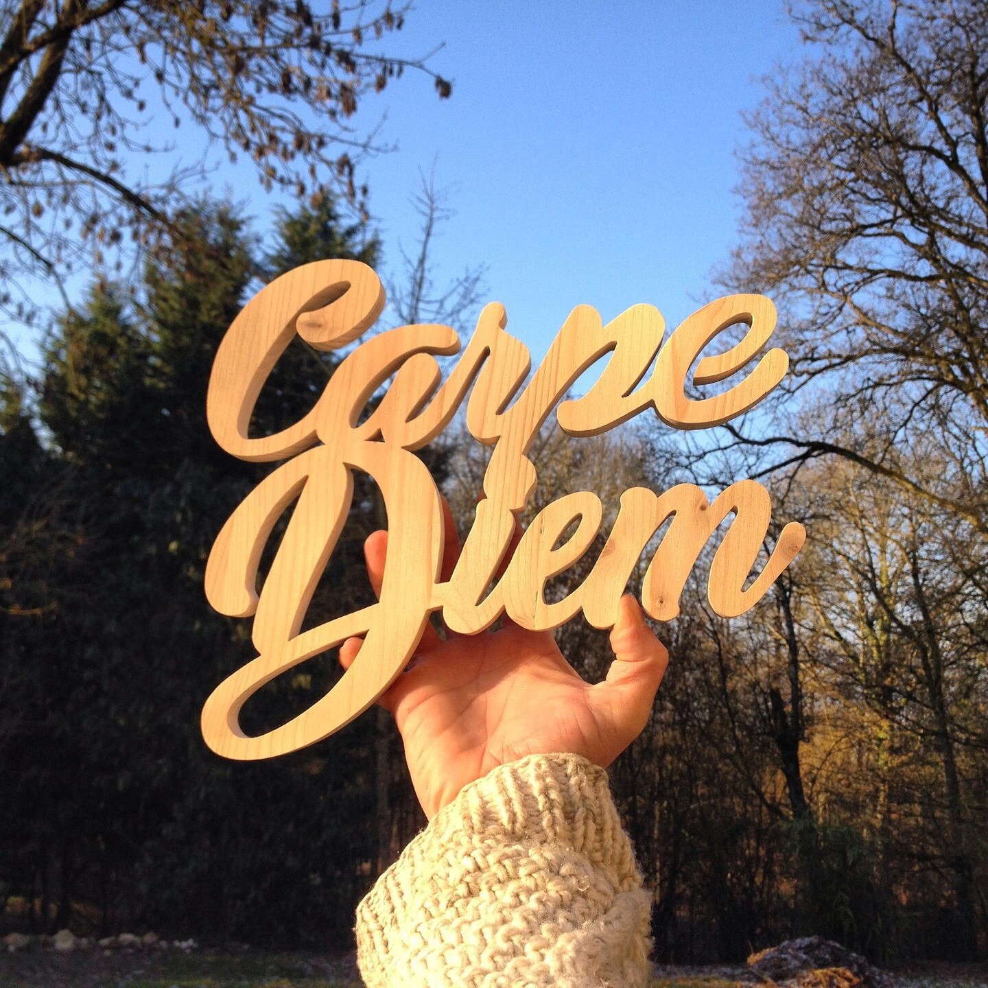 Carpe Diem Lettres en Bois Brut Recyclé de Fabrication Artisanale Calligraphie Scripte Handwriting