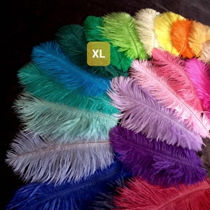 May include: A selection of large ostrich feathers in a variety of colours, with the label "XL" in the centre of the image.