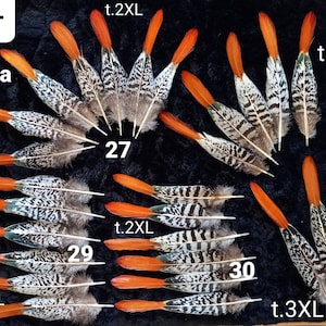 Peut inclure: Une collection de 10 plumes de faisan avec des marques noires et blanches et des pointes orange. Les plumes sont numérotées de 27 à 31 et portent les mentions "t.2XL" et "t.3XL".