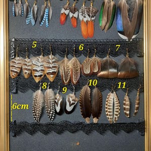 Può includere: Una collezione di undici paia di orecchini con piume esposti in una cornice dorata su sfondo nero. Gli orecchini presentano vari colori e motivi, tra cui blu, arancione, marrone e bianco. L'altezza dell'esposizione è di 6 cm.