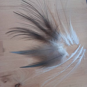 Hermosas plumas de garza (n1-4) - colores naturales: blanco, beige, gris claro, gris oscuro - atado de moscas (garceta)