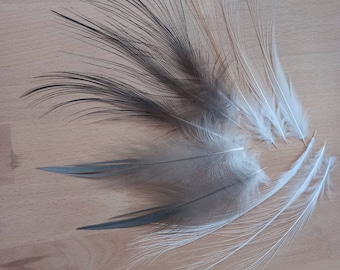 Beautiful heron feathers (n1-4) - natural colors: white, beige, light gray, dark gray - fly tying (egret)