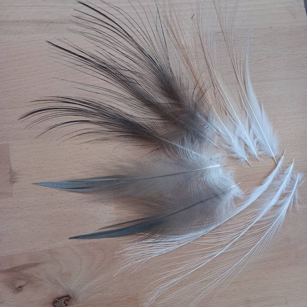 Belles plumes de héron (n1-4) - couleurs naturelles : blanc, beige, gris clair, gris foncé - fly tying (aigrette)