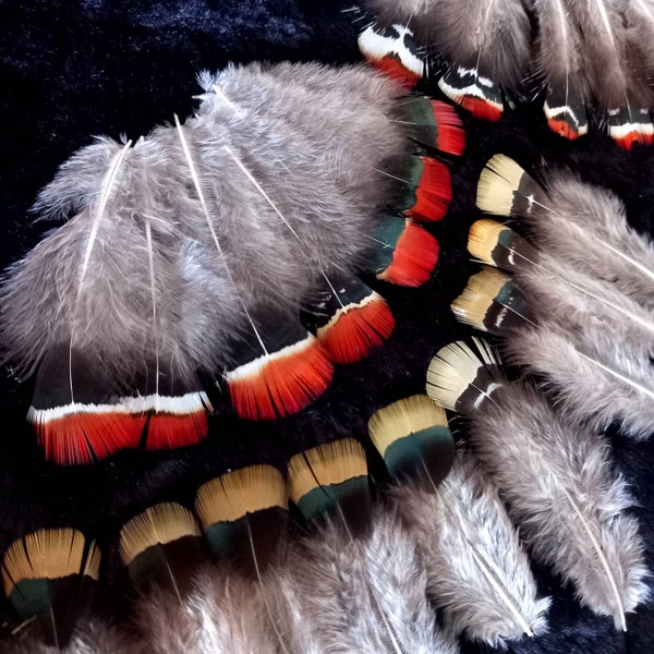 x10 lady amherst pheasant feathers (n5) - natural color: red; yellow - fly tying, earrings, DIY