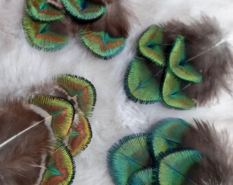 RARE - Peacock Feathers - Natural Color: Beautiful Iridescent Turquoise Green - Fly Tying, Earrings, Jewelry, Art