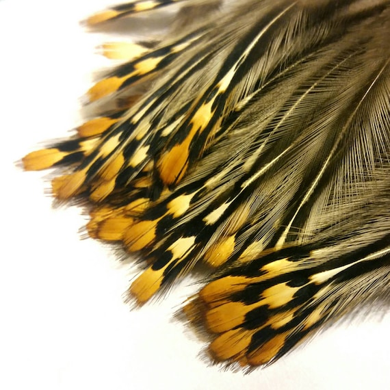 RARE Natural Color Jungle Cock Feathers: Yellow Punctuated Junglecock  Feather, Fly Tying, Earrings -  Canada