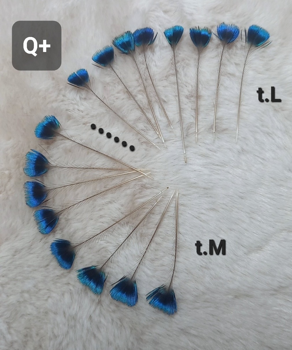 bluee feathers はまく〜ん様 3本おまとめ品 bluee feathers はまく〜ん様 3本おまとめ品 bluee feathers はまく