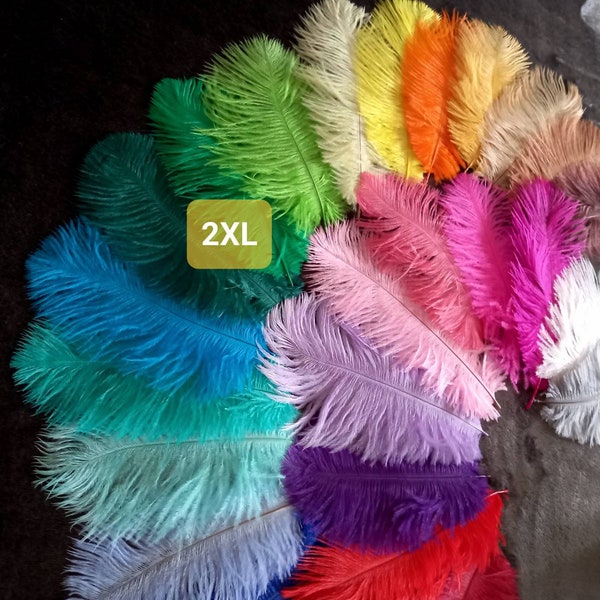 t.2XL (20-25 cm): ostrich feathers **18 colors** = blue, red, orange, fuchsia, pink, champagne, mustard, gray, black...