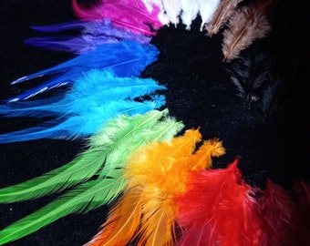 Rooster lancets - **30 colors**: green, white, purple, black, turquoise, wine-colored, red, pink, fuchsia,... - DIY, disguise