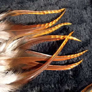 RARE - Lots of rooster lancets **tricolor chinchillas** (n13) - natural color: red, black or white - earrings, hair extension