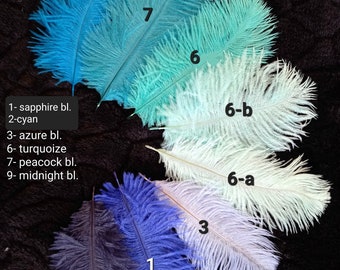 T.XL (15-20 cm): ダチョウの羽 **25色** = 青、赤、オレンジ