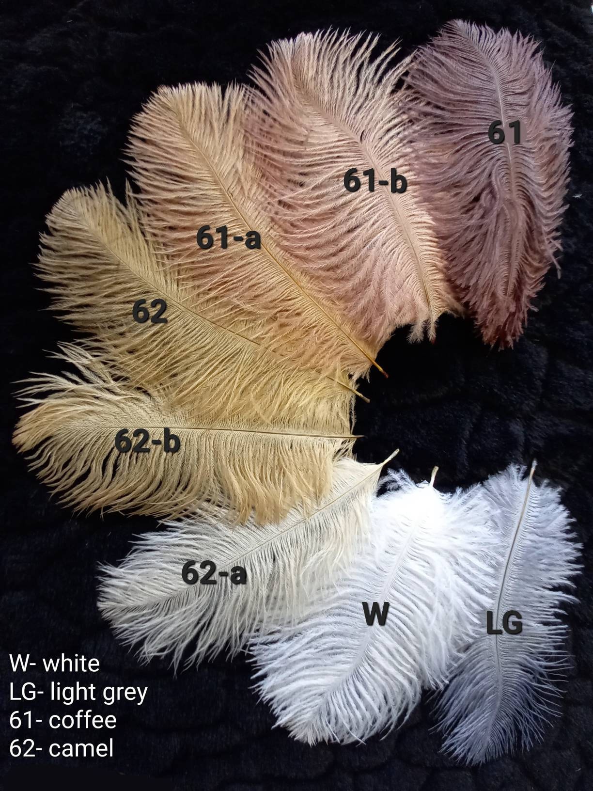 T.XL (15-20 cm): ダチョウの羽 **25色** = 青、赤、オレンジ
