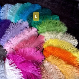 t.L (13-15 cm): ostrich feathers **25 colors** = blue, red, orange, fuchsia, pink, champagne, mustard, gray, black...