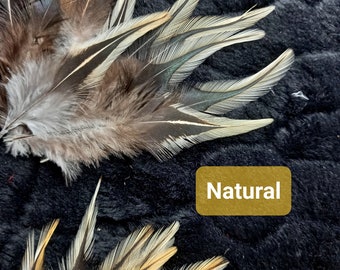 Rooster colored badger lancets - multi-colored coloring - saddle feathers
