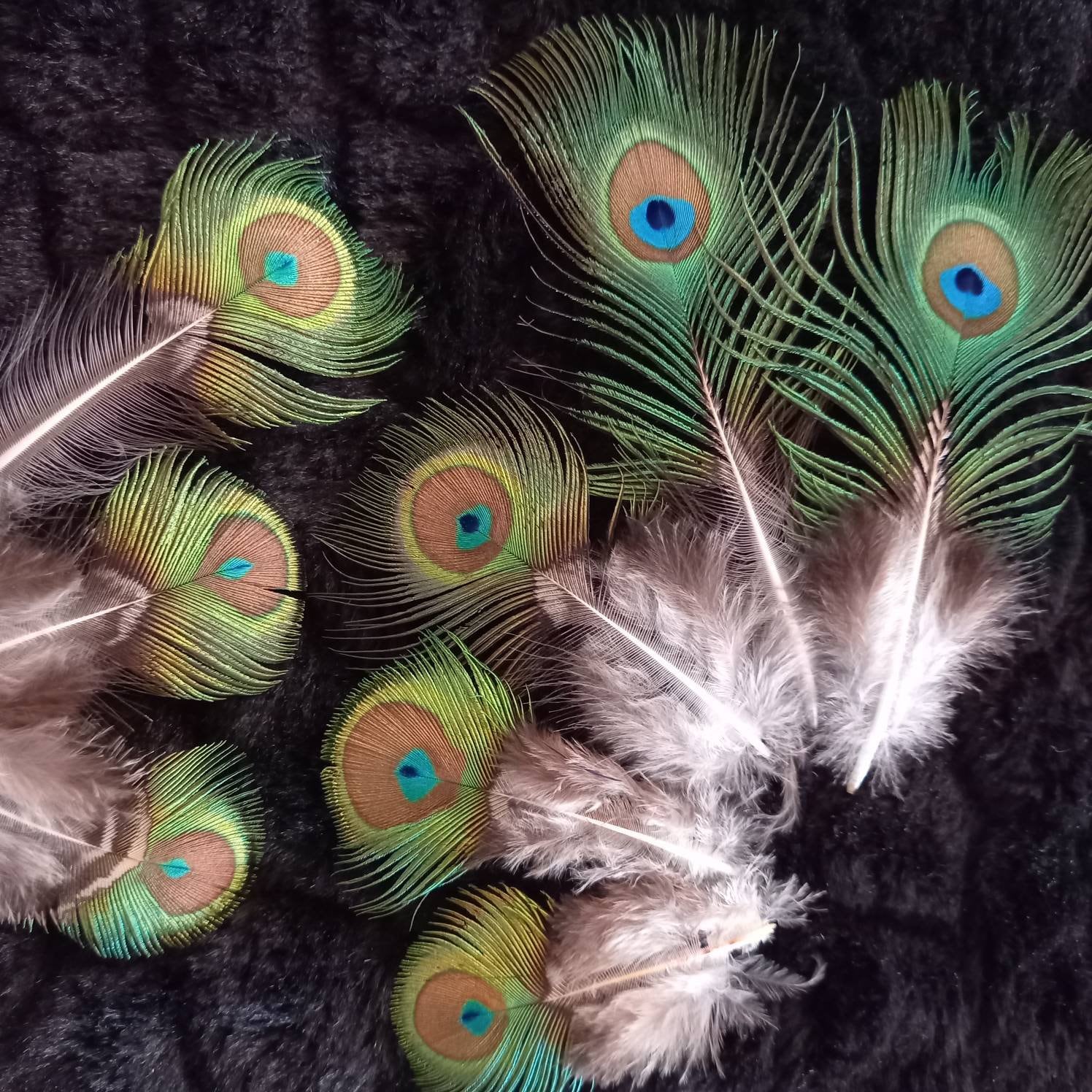 RARE EYE of the Peacock Feather ;Tan; suede,;teal and green; gold buckle. Sz xxs RARE - Mini Peacock Eye *extra Quality* (n6) - Green Peacock  main image 3