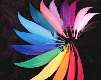 pointed and colorful goose wing feathers - *15 colors* = white, black, yellow, orange, red,... - DIY, disguise, wedding,...