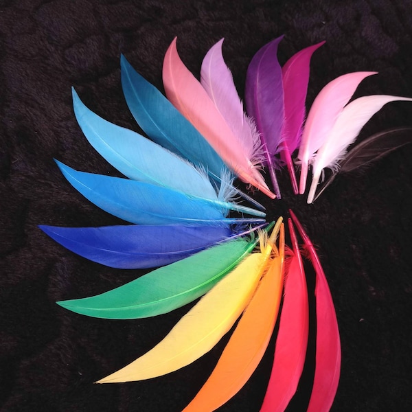 pointed and colorful goose wing feathers - *15 colors* = white, black, yellow, orange, red,... - DIY, disguise, wedding,...