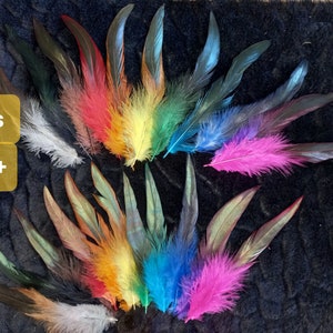 May include: Assortment of colourful feathers, including red, orange, yellow, green, blue, purple, and pink. The feathers are arranged in a fan shape and are all about the same size. The feathers are on a black background.