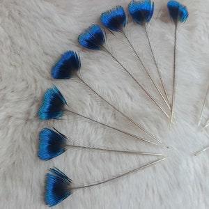Puede incluir: Una colección de plumas de pavo real con puntas iridiscentes azules y verdes. Las plumas están dispuestas en forma de abanico sobre una superficie blanca y esponjosa.
