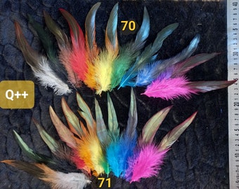 Q++ (2): Pairs and lots of large iridescent rooster tail feathers - colored black - lancets