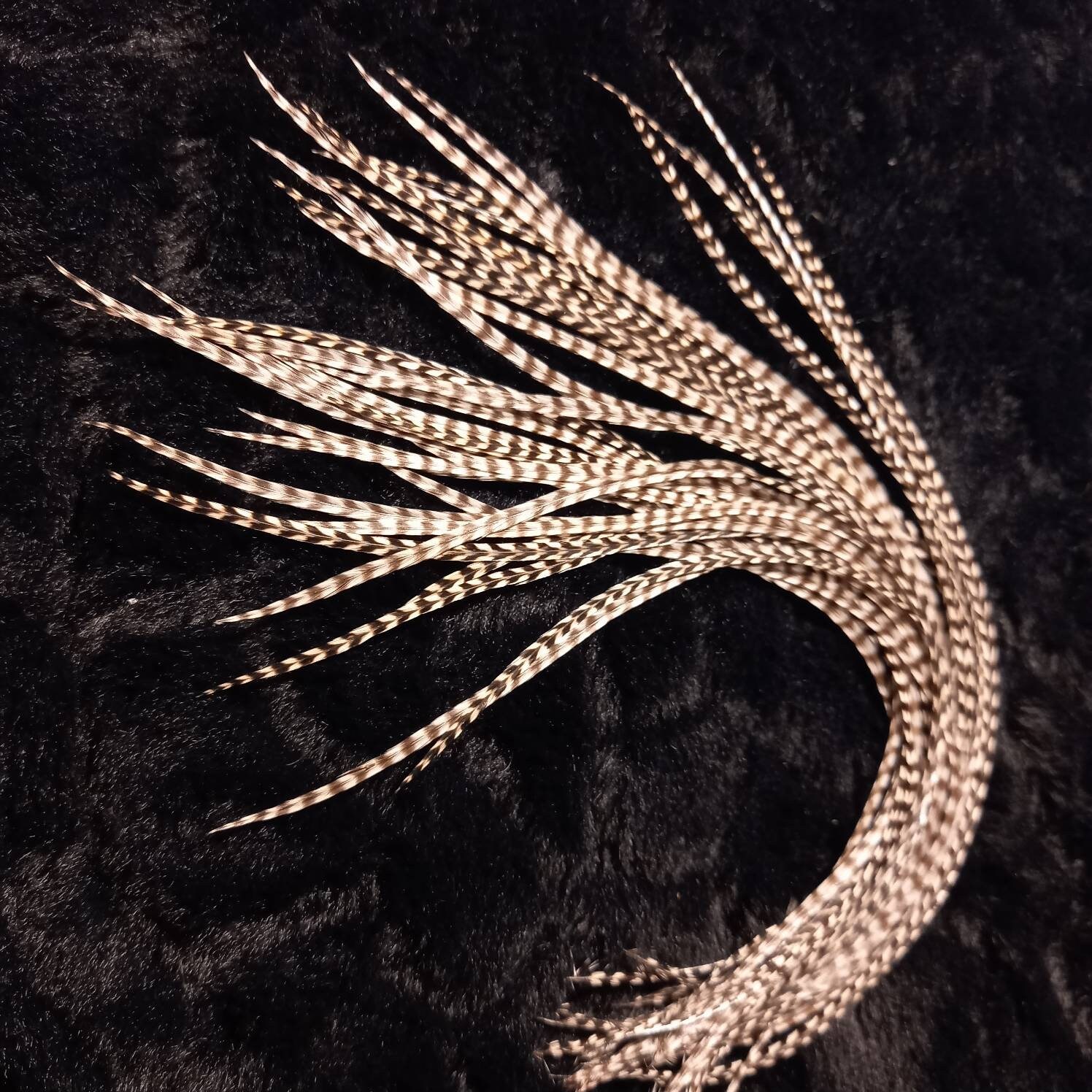 Extra fine (microbarbs) / extra long rooster hair extension lancets - colors: badger, chinchilla,... - Fly tying, earrings
