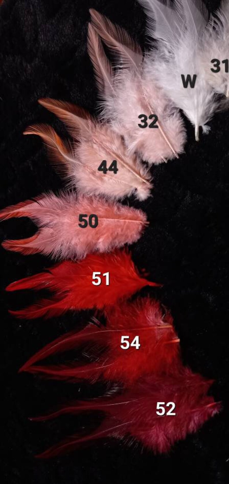 Rooster Lancets - **30 Colors**: Green, White, Purple, Black, Turquoise ...