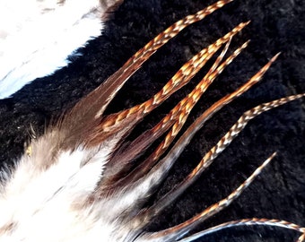 Puede incluir: Un manojo de plumas con puntas blancas y marcas marrones y naranjas. Las plumas están dispuestas en forma de abanico y están sobre un fondo negro.