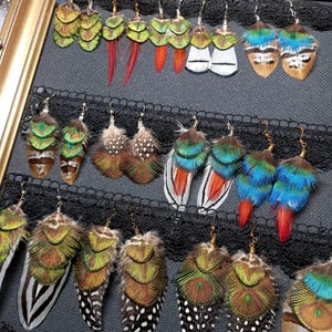 May include: A selection of feather earrings in shades of green, yellow, orange, blue, and brown. The earrings are presented on a dark grey surface with black lace detailing. The feathers display detailed patterns and textures.