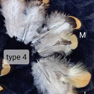 Op de afbeelding: Drie grijze veren in verschillende maten met bruine markeringen. De veren zijn geëtiketteerd met "S", "M" en "L". Een wit label met de tekst "type 4" bevindt zich in het midden van de afbeelding.