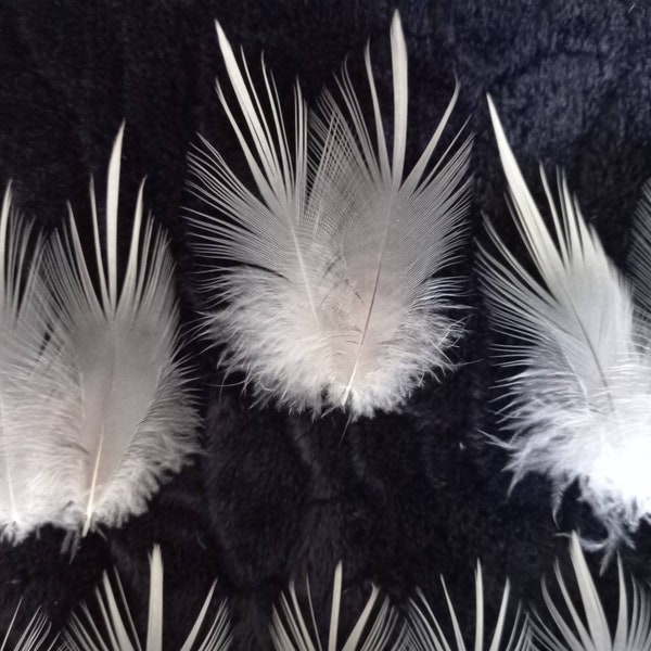 Pairs and lots of heron feathers (n5) - natural colors: gray, beige, white. Fly tying