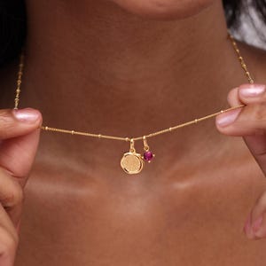 Detailed Pet Nose Print PETITE Necklace With Mini Birthstone By CodeBlue Jewelry | Dog Noses Charm | Memorial Gift | Christmas Gifts