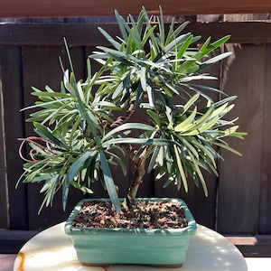 May include: A rustic wooden sign with the text "Welcome to our home" in white lettering. The sign features a distressed finish and a simple, inviting design, perfect for front door decor.