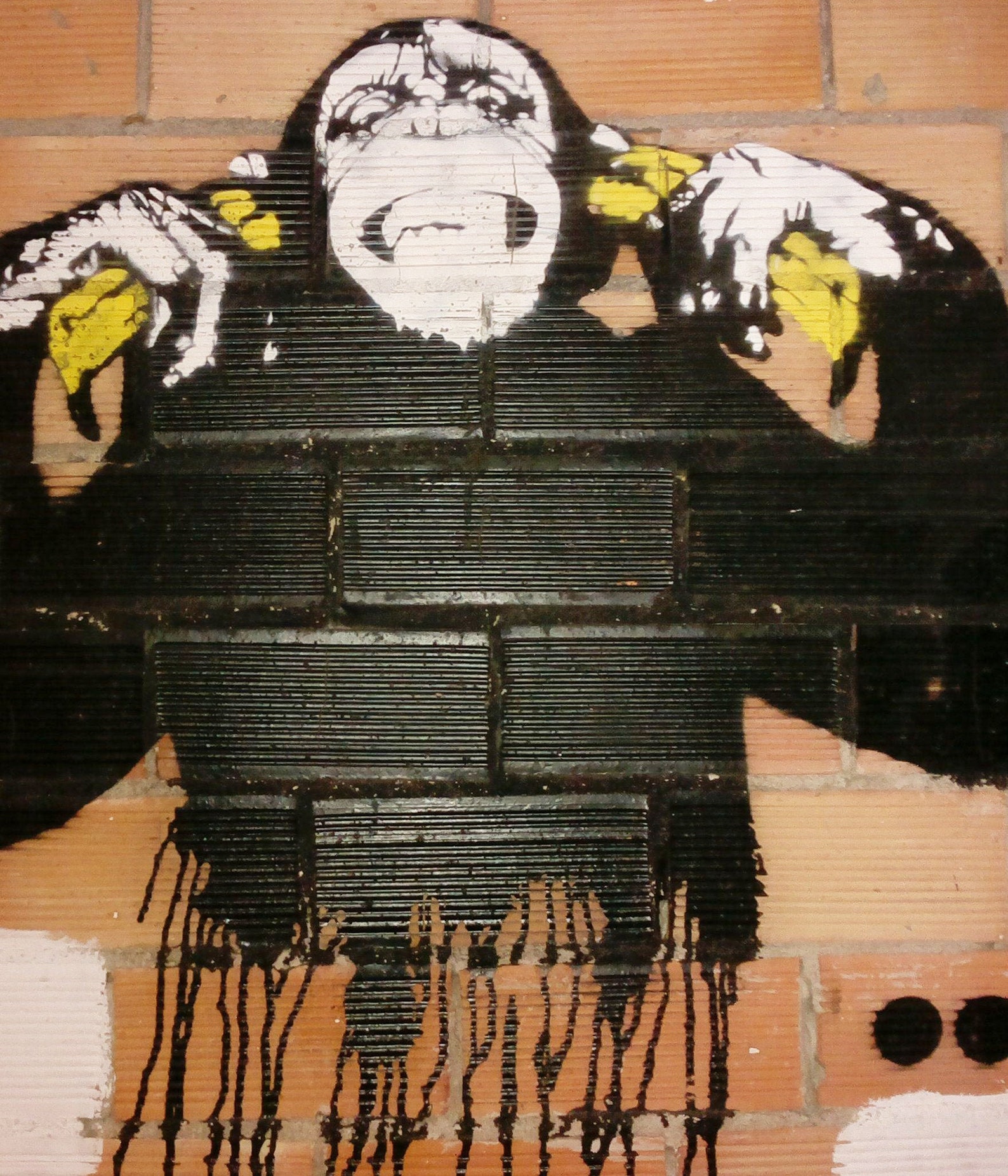 Monkey Canvas Graffiti wall art Street art Monkey Art Etsy