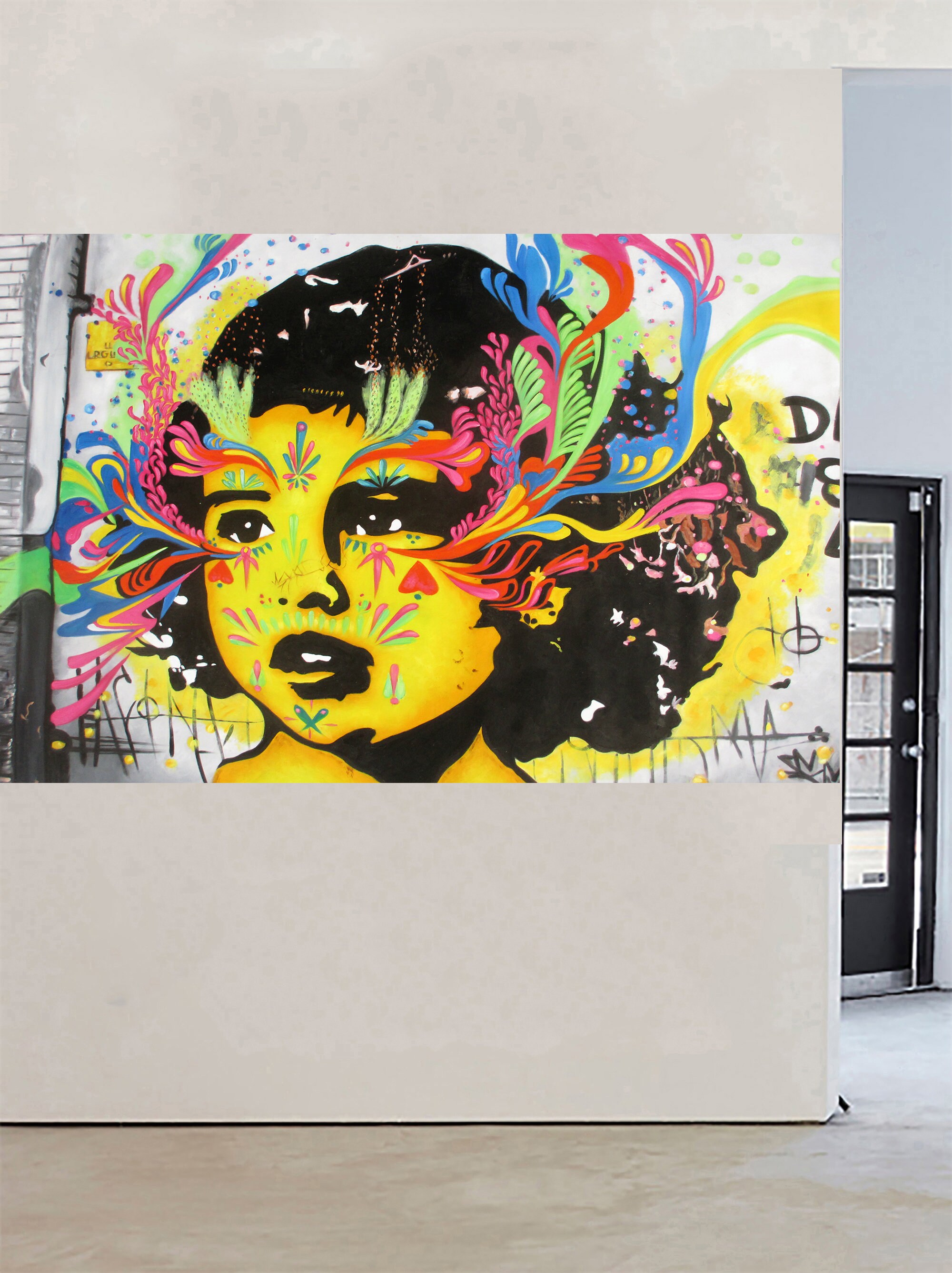 180cm x 90cm Urban princess Street art canvas face girl abstract painting 