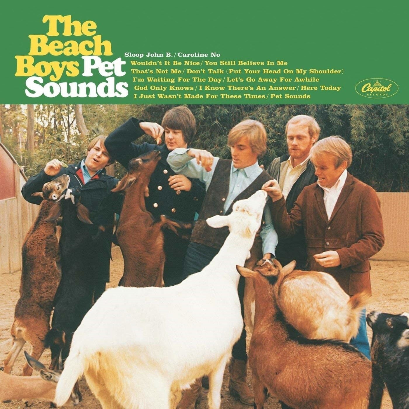 THE BEACH BOYS PET SOUNDS Album Cover POSTER 24 X 24 Inches Looks great!